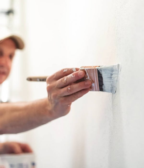 peinture couleur taupe